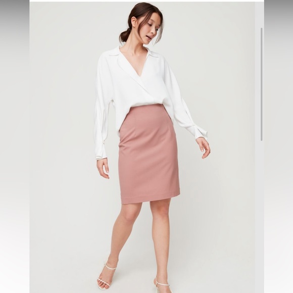 Aritzia Babaton Walt Skirt - Picture 8 of 9